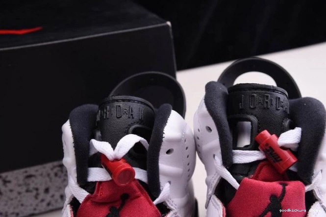 Rep 6 'CARMINE' JORDAN RETRO CT8529-106 2021 AIR 0825